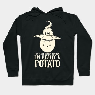 This is my Human Costume I'm Really A Potato Funny Halloween Lazy Costume Gift Hoodie